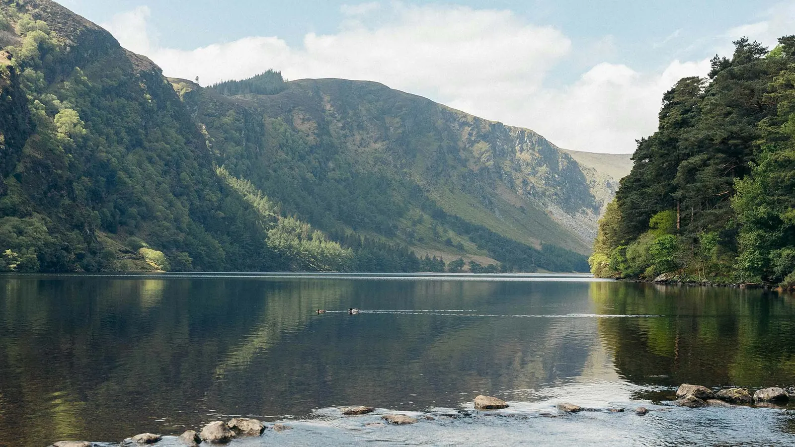 Chauffeur driving - A Day in Wicklow: Must-See Sights and Activities